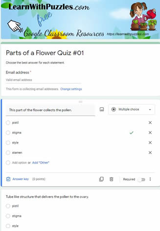 Parts of Flower Word Search#03