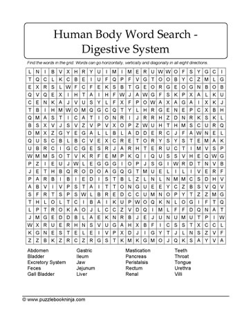 Digestive System Puzzle
