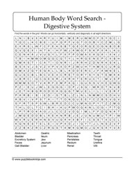 Digestive System Puzzle
