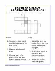 Plant Parts Crossword - No Hint